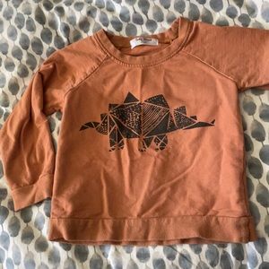 Dino long sleeve, 3-4t fits more like a 3t.